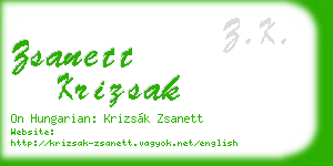zsanett krizsak business card